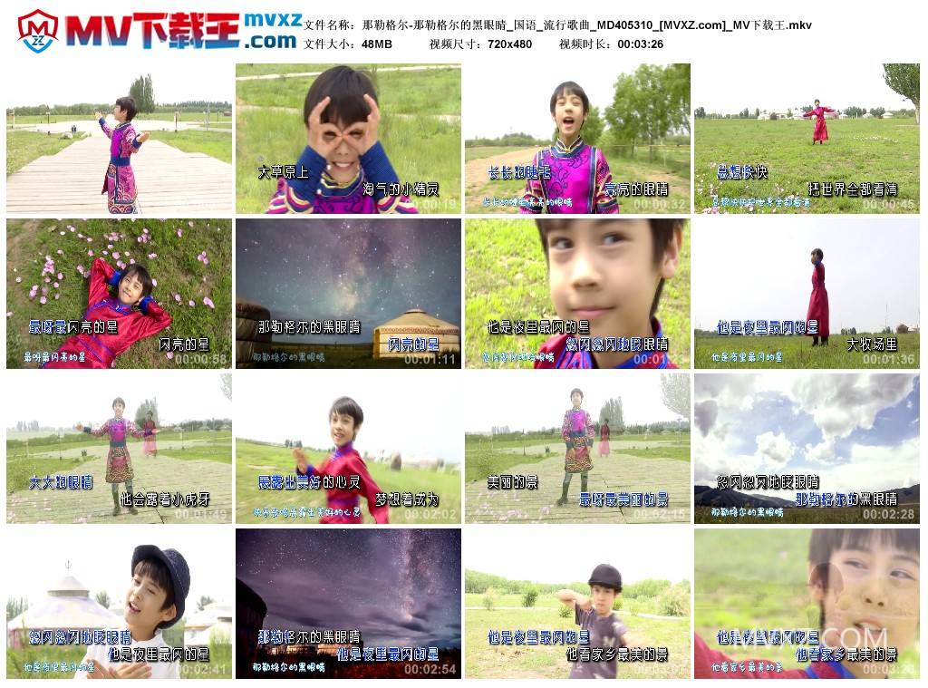 那勒格尔-那勒格尔的黑眼睛_国语_流行歌曲_MD405310